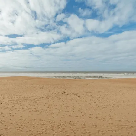Espinho Seawalk And Seaview By Vacationy *